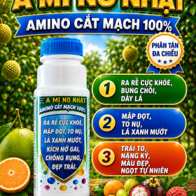 Phân bón AMINO NHẬT-AMINO CẮT MẠCH (Nhật Cường Phát)