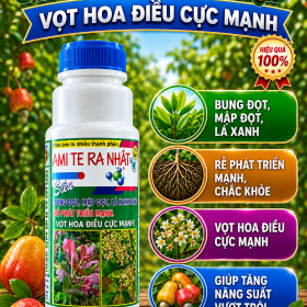 Phân bón lá AMI TE RA NHẬT - Chuyên cho cây Điều (NCP)