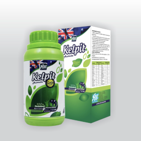 KELPIT CHAI 250ML