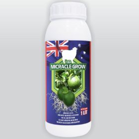 Phân Bón TOBA MICRACLE GROW 1 LÍT