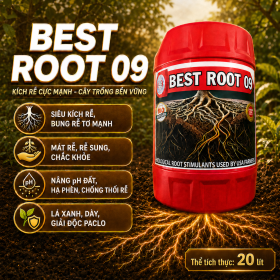 BEST ROOT 09 - Kích Rễ Cực Mạnh (NGN)