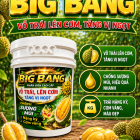 Phân Bón BIG BANG dành cho sầu riêng (NGN)