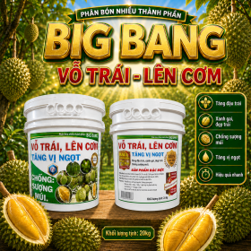 Phân bón BIG BANG Cho cây sầu riêng (NGN)
