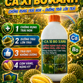 CA XI BO XANH - Chuyên dùng cho sầu riêng (NGN)