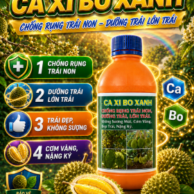 CA XI BO XANH dùng cho sầu riêng (NGN) CHAI 500ML màu cam