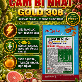 CAM BI NHẬT GOLD 308 (NGN) Gói 50g