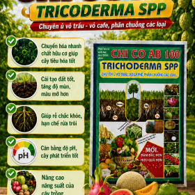 Phân bón lá CHI CO AB 100 - TRICHODERMA SPP (NGN)