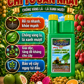 Phân bón lá đạm CHITOSAN NHẬT (NGN) (Chai 500ml)
