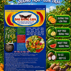 Phân bón ĐẠI BÀNG LỬA Dưỡng trái-Lớn trái (NGN)