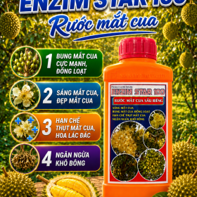 Phân bón lá ENZIM STAR 100 Rước Mắt cua (NGN)