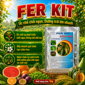 Phân bón lá FER KIT - CHẶN ĐỌT (NGN)