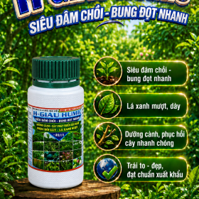 H GIÀU HUMIC Siêu đâm chồi (NGN) Chai 100ml
