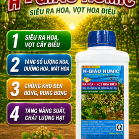H GIÀU HUMIC Siêu ra hoa Vọt hoa Điều (NGN)