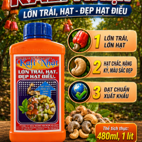 Phân bón KALI NHẬT Dành cho cây Điều (NGN)
