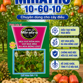 Phân bón MIRATRO 10-60-10 chuyên cho cây Điều (NGN)