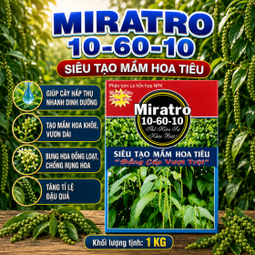 MIRATRO 10-60-10 Siêu tạo mầm hoa Tiêu (NGN)