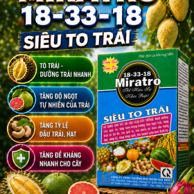 MIRATRO 18-33-18 SIÊU TO TRÁI (NGN)
