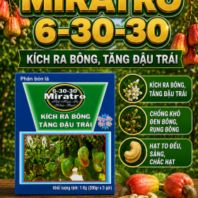 Phân bón MIRATRO 6-30-30 dành cho cây Điều 1kg (NGN)