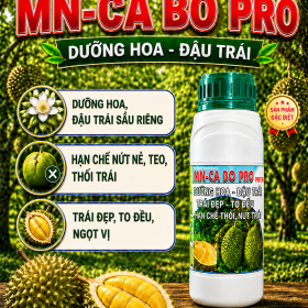 MN-CA BO PRO (PRO 5H) - Dưỡng hoa - Đậu trái Sầu riêng (NCP)