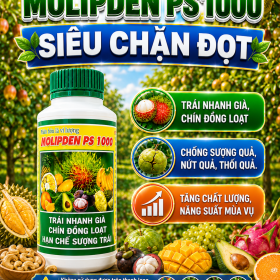 Phân bón lá vi lượng MOLIPDEN PS 1000 (NCP)