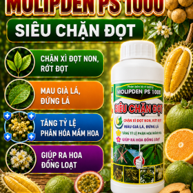 Phân bón lá MOLIPDEN PS 1000 Siêu chặn đọt (NGN)