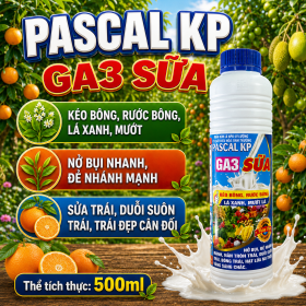 Phân bón lá NPK PASCAL KP-GA3 SỮA (NCP)