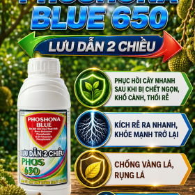 PHOSPHONA BLUE 650 (NGN)