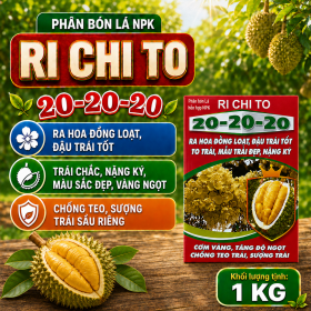Phân bón lá NPK RI CHI TO 20-20-20 chuyên sầu riêng 