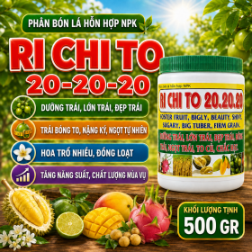 Phân bón lá NPK RI CHI TO 20-20-20 (500G) (NCP)