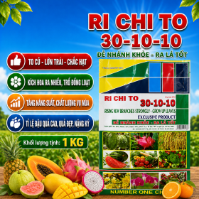 Phân bón lá RI CHI TO 30-10-10 (NCP)