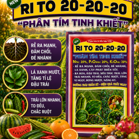 Phân bón lá NPK RI TO 20-20-20 PHÂN TÍM TINH KHIẾT