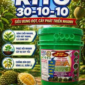 Phân bón RITO 30-10-10 SIÊU BUNG ĐỌT (NGN)