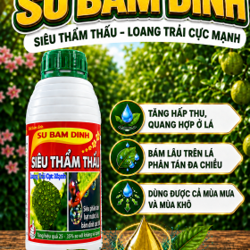 SU BÁM DÍNH - SIÊU THẨM THẤU (NCP)