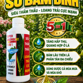 SU BÁM DÍNH 5 TRONG 1 (NGN)