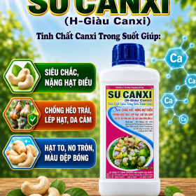 Phân bón SU CANXI (H-Giàu Canxi) (NGN)