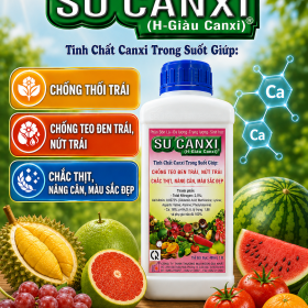 Phân bón lá SU CANXI (H-Giàu Canxi) cho cây ăn trái (NGN)
