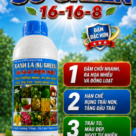Phân bón SU GREEN 16-16-8 đậm đặc (NGN)