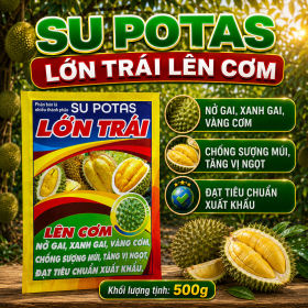 Phân bón SU POTAS LỚN TRÁI Sầu riêng (NGN)