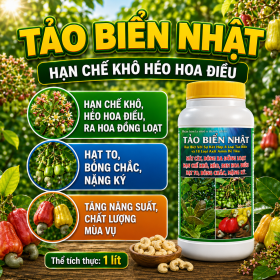 TẢO BIỂN NHẬT Hạn chế khô héo Hoa Điều (NGN)