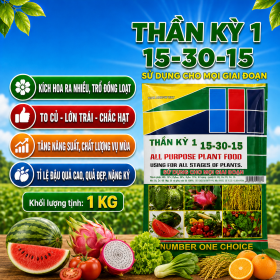 THẦN KỲ 1 (15-30-15) (NCP)