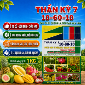 Phân bón lá hỗn hợp NPK THẦN KỲ 7 10-60-10 (NCP)