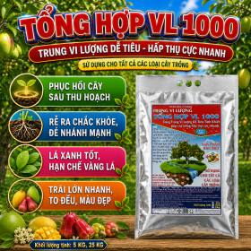 Phân bón Trung Vi Lượng TỔNG HỢP VL 1000 (NCP)