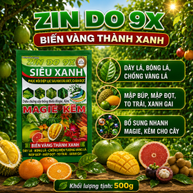 Phân bón ZIN DO 9X Siêu xanh (NGN)
