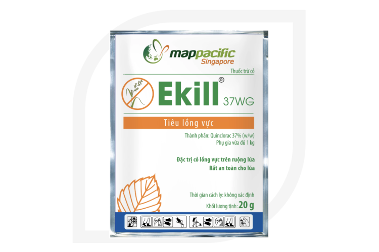 THUỐC TRỪ CỎ EKILL 37WG