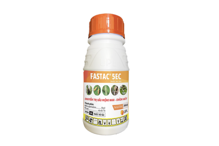Thuốc trừ sâu FASTAC 5EC 