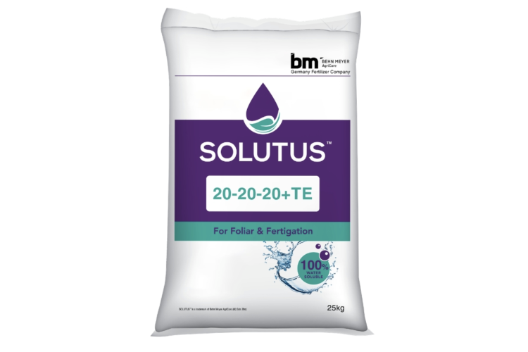 PHÂN BÓN SOLUTUS 20-20-20+TE