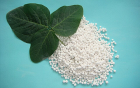 Vai trò của vi lượng trong phát triển cây trồng mà ít người biết