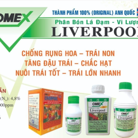 LIVERPOOL ĐẠM-VI LƯỢNG BOLY