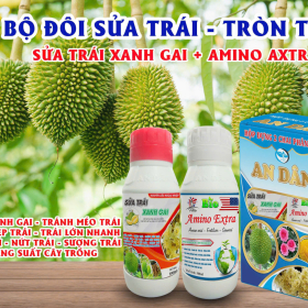 BO ĐÔI SỬA TRÁI - TRÒN TRÁI ( SỬA TRÁI XANH GAI - AMNO AXTRA) AN DÂN