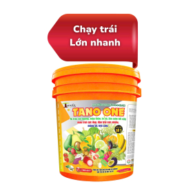 TANO ONE BA TỐT